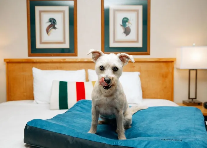 Timbers Motel