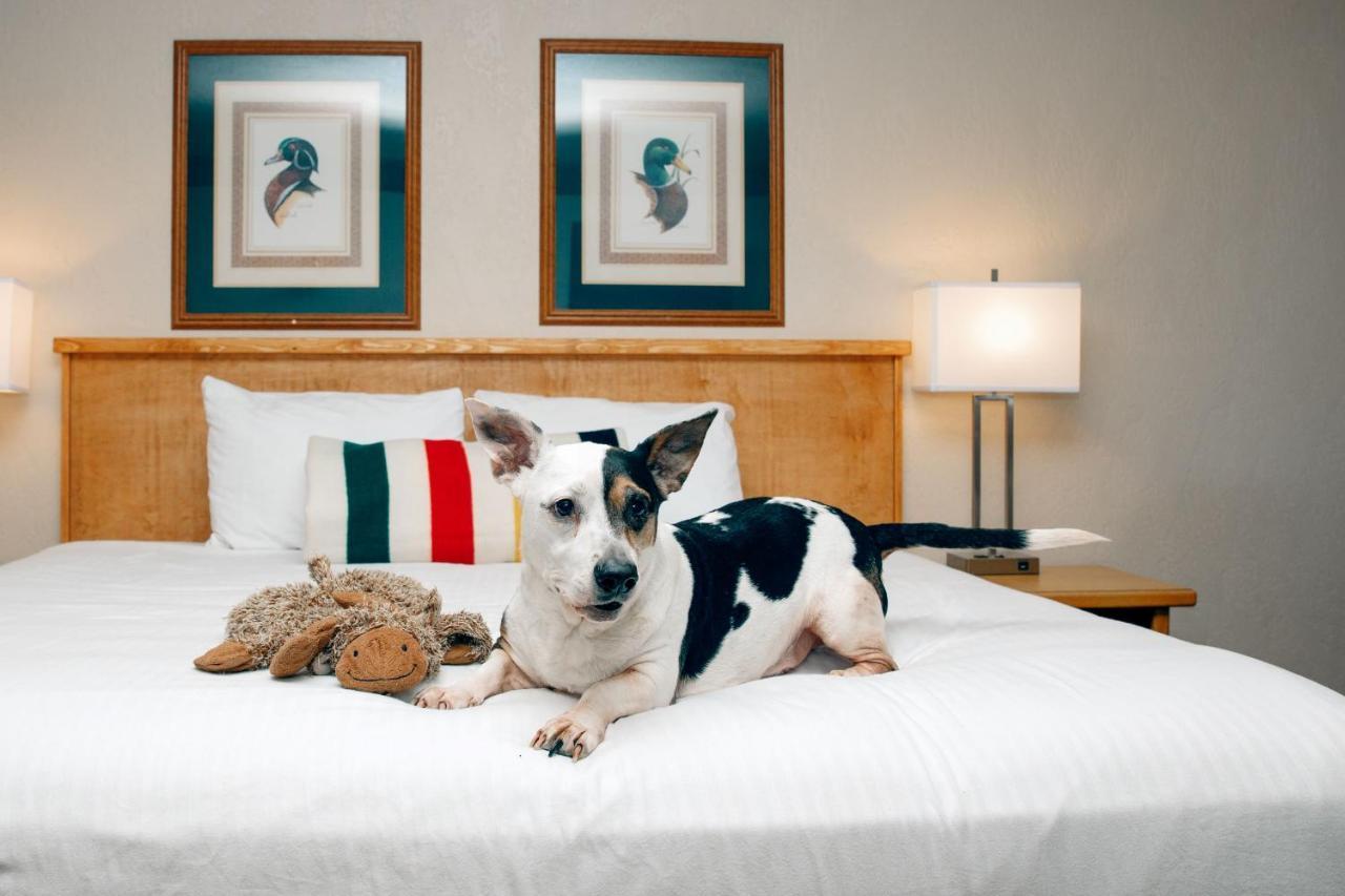 Motel Timbers